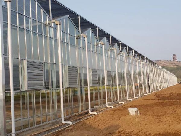 濰坊市昌邑玻璃溫室